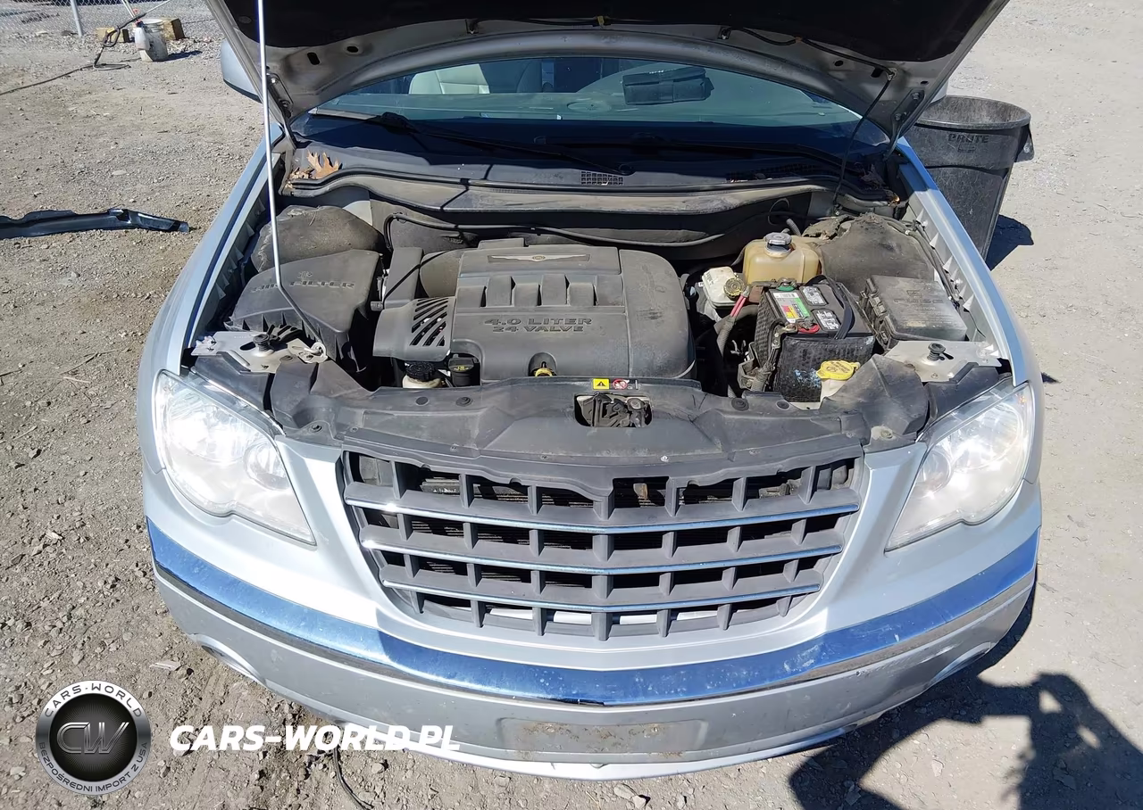 2007 Chrysler Pacifica Limited VIN:2A8GM78X57R197172 - 10