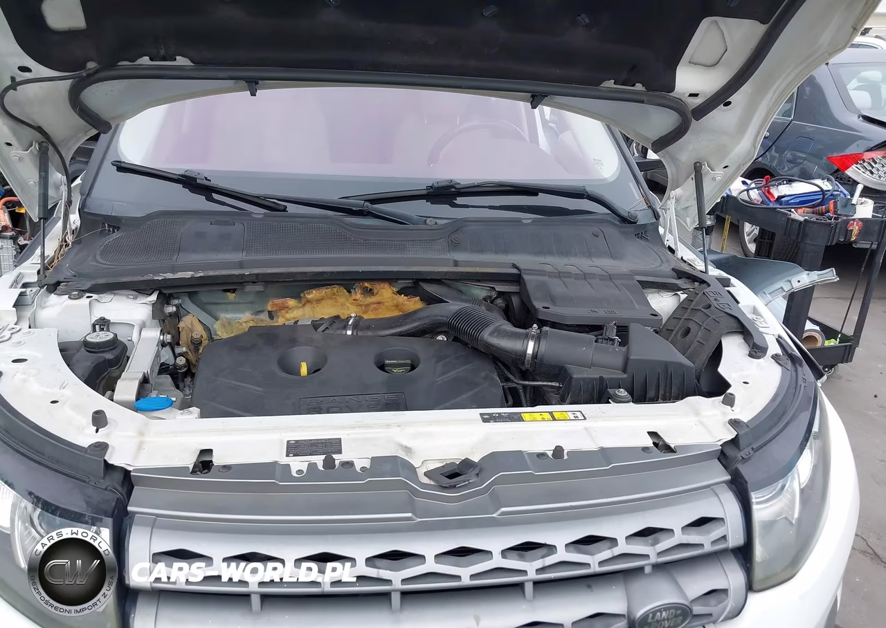 2014 Land Rover Range Rover Evoque Pure VIN:SALVN2BG6EH877011 - 10