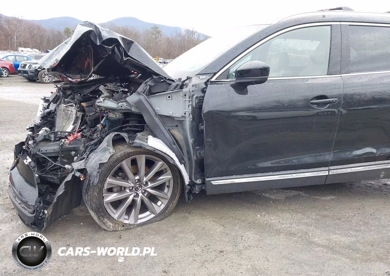 2022 Mazda Cx-9 Grand Touring VIN:JM3TCBDY2N0621416 - 18