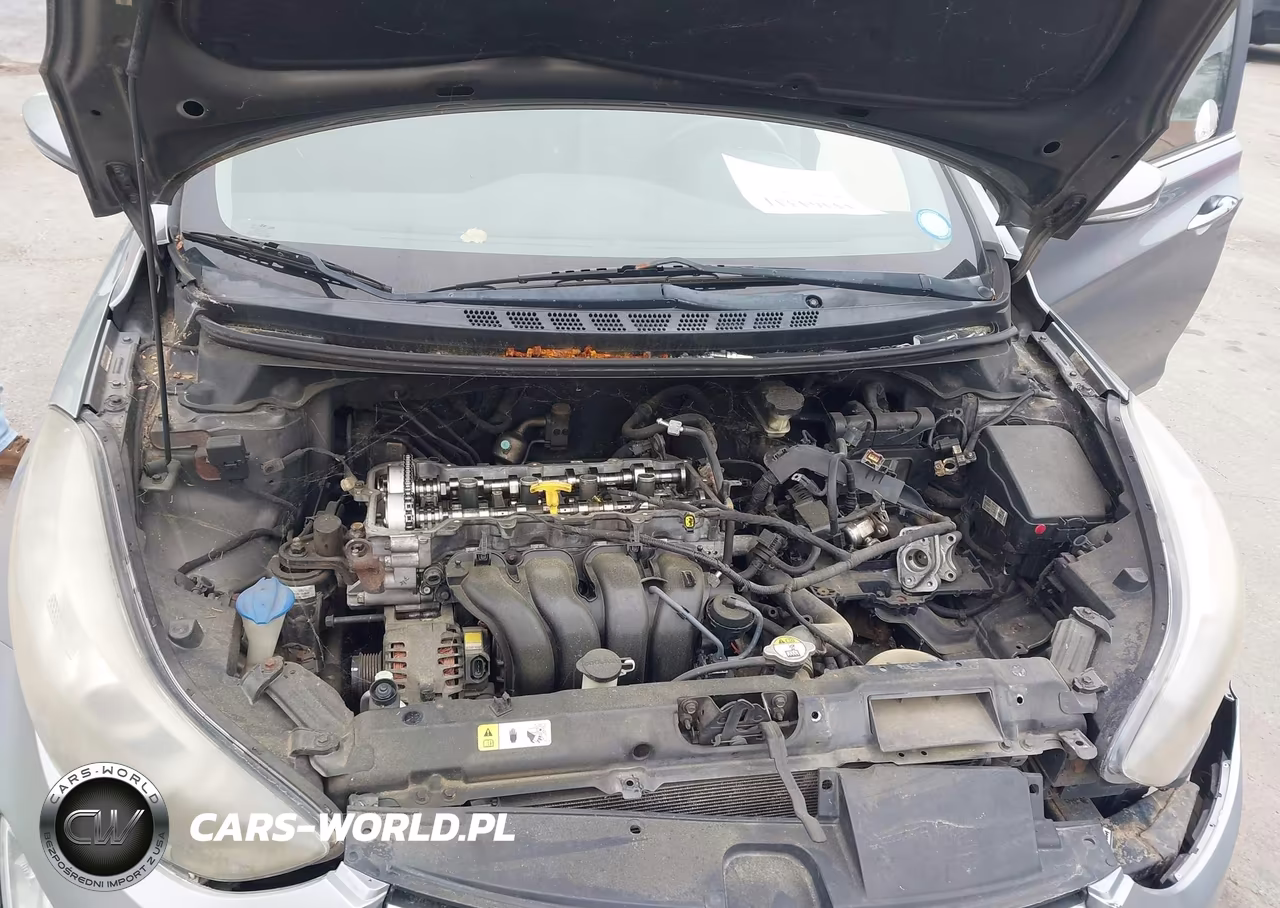 2014 Hyundai Elantra Sport VIN:KMHDH4AH1EU083116 - 10