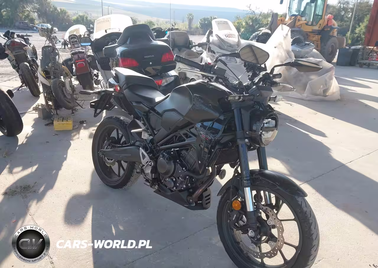 2025 Honda Cbf300 Na