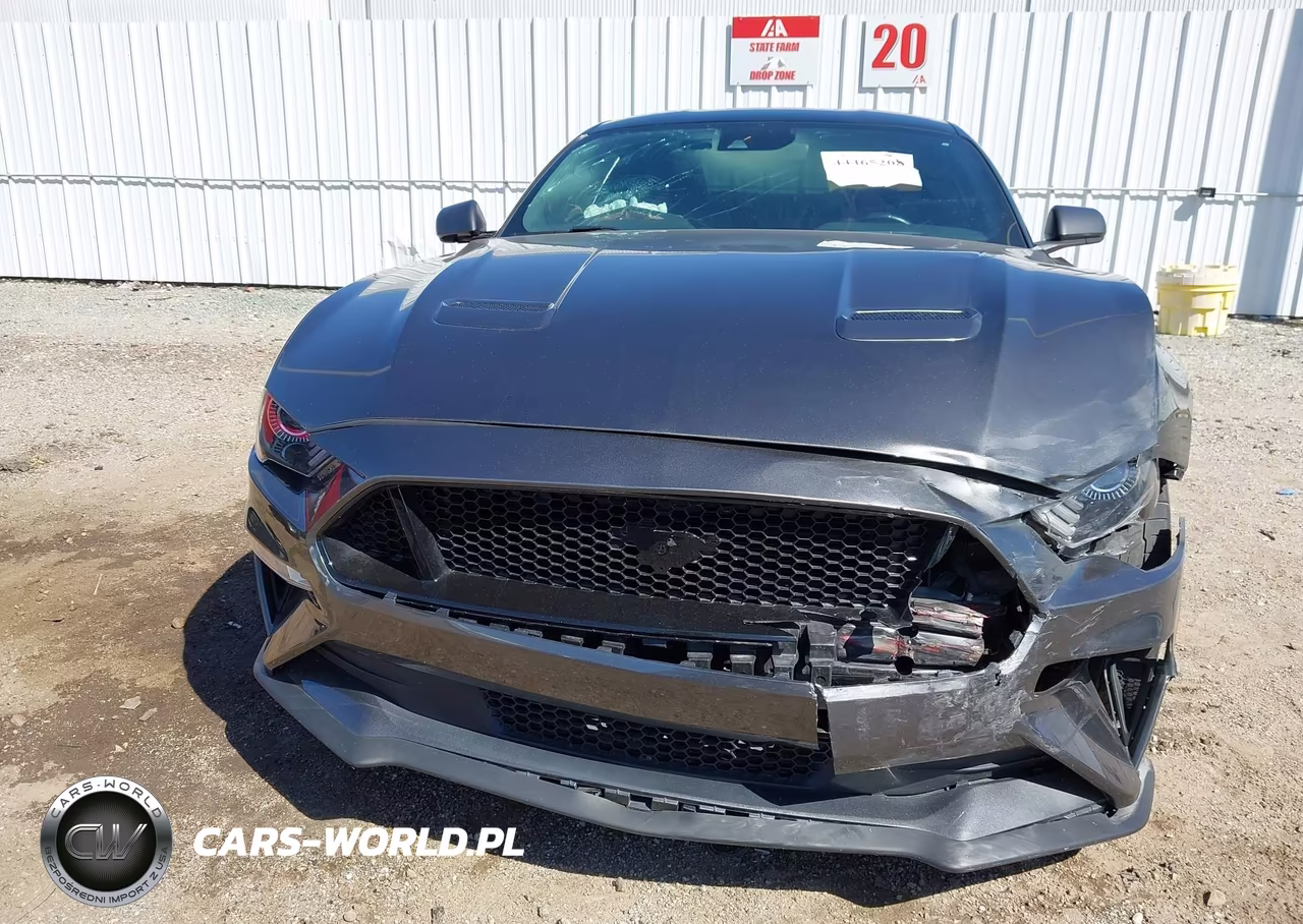 2019 Ford Mustang Gt Premium VIN:1FA6P8CF7K5124363 - 12