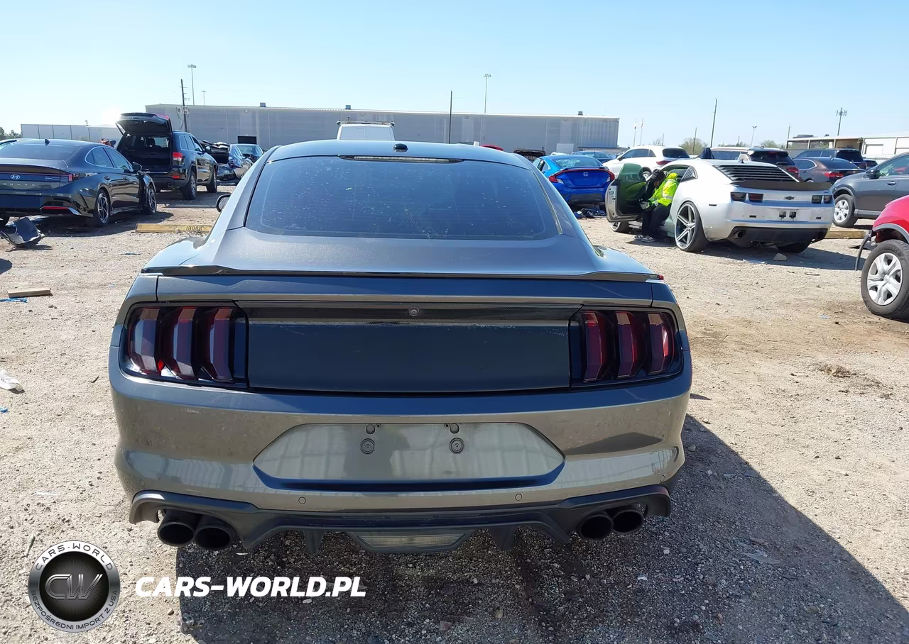 2019 Ford Mustang Gt Premium VIN:1FA6P8CF7K5124363 - 16