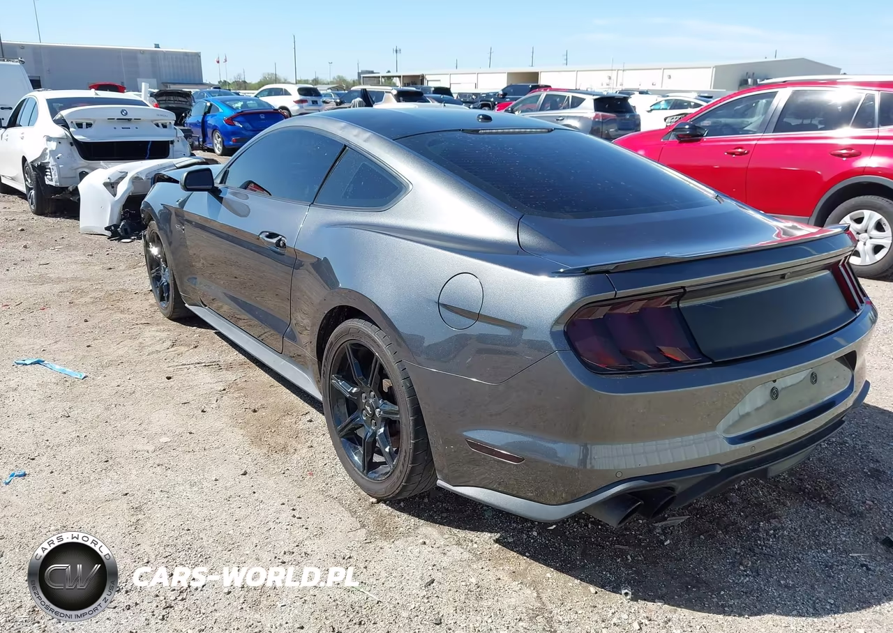 2019 Ford Mustang Gt Premium VIN:1FA6P8CF7K5124363 - 3