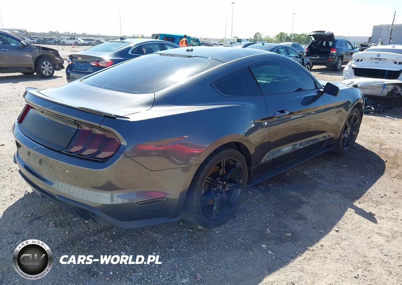 2019 Ford Mustang Gt Premium VIN:1FA6P8CF7K5124363 - 4