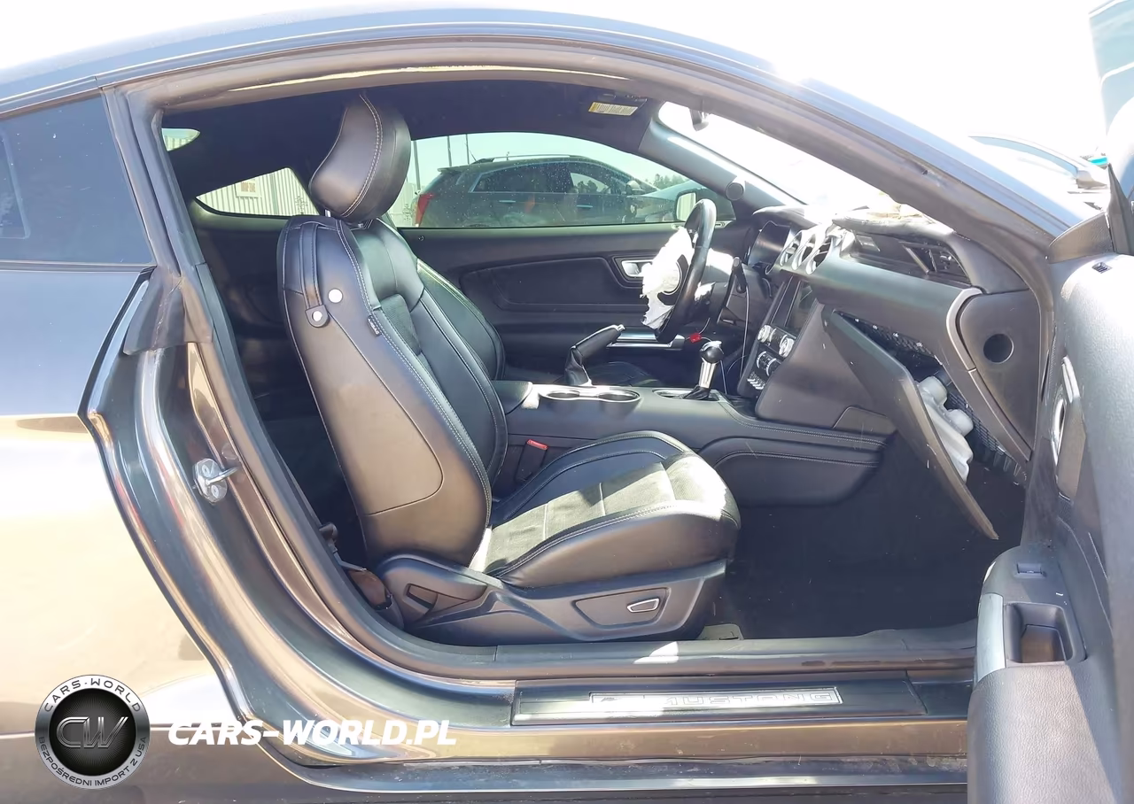 2019 Ford Mustang Gt Premium VIN:1FA6P8CF7K5124363 - 5