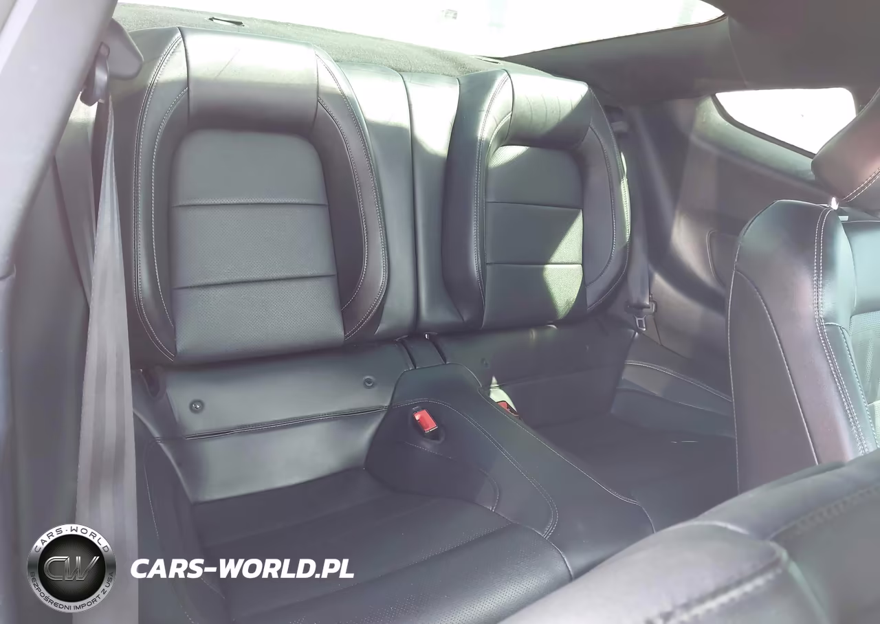 2019 Ford Mustang Gt Premium VIN:1FA6P8CF7K5124363 - 8