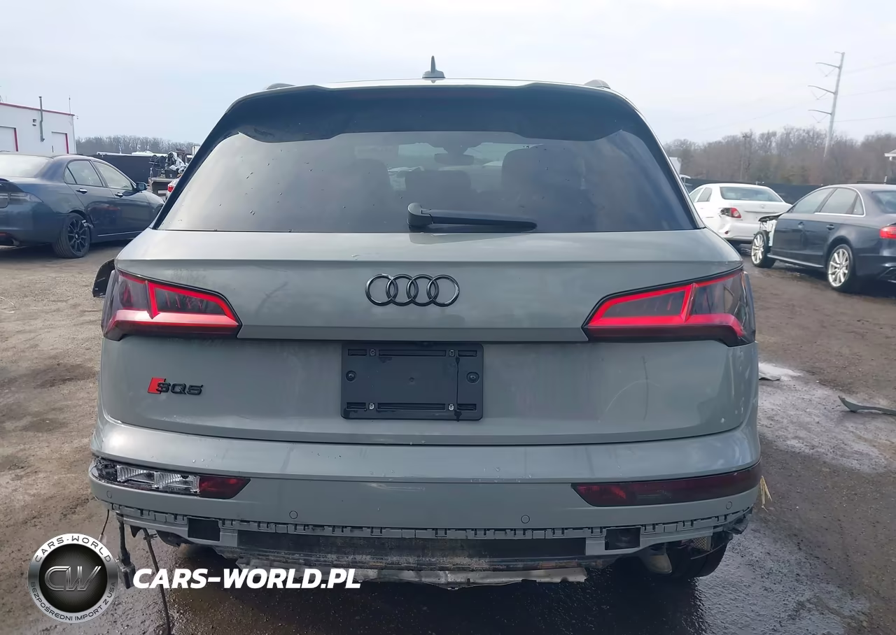 2019 Audi Sq5 3.0T Premium VIN:WA1C4AFYXK2004403 - 17