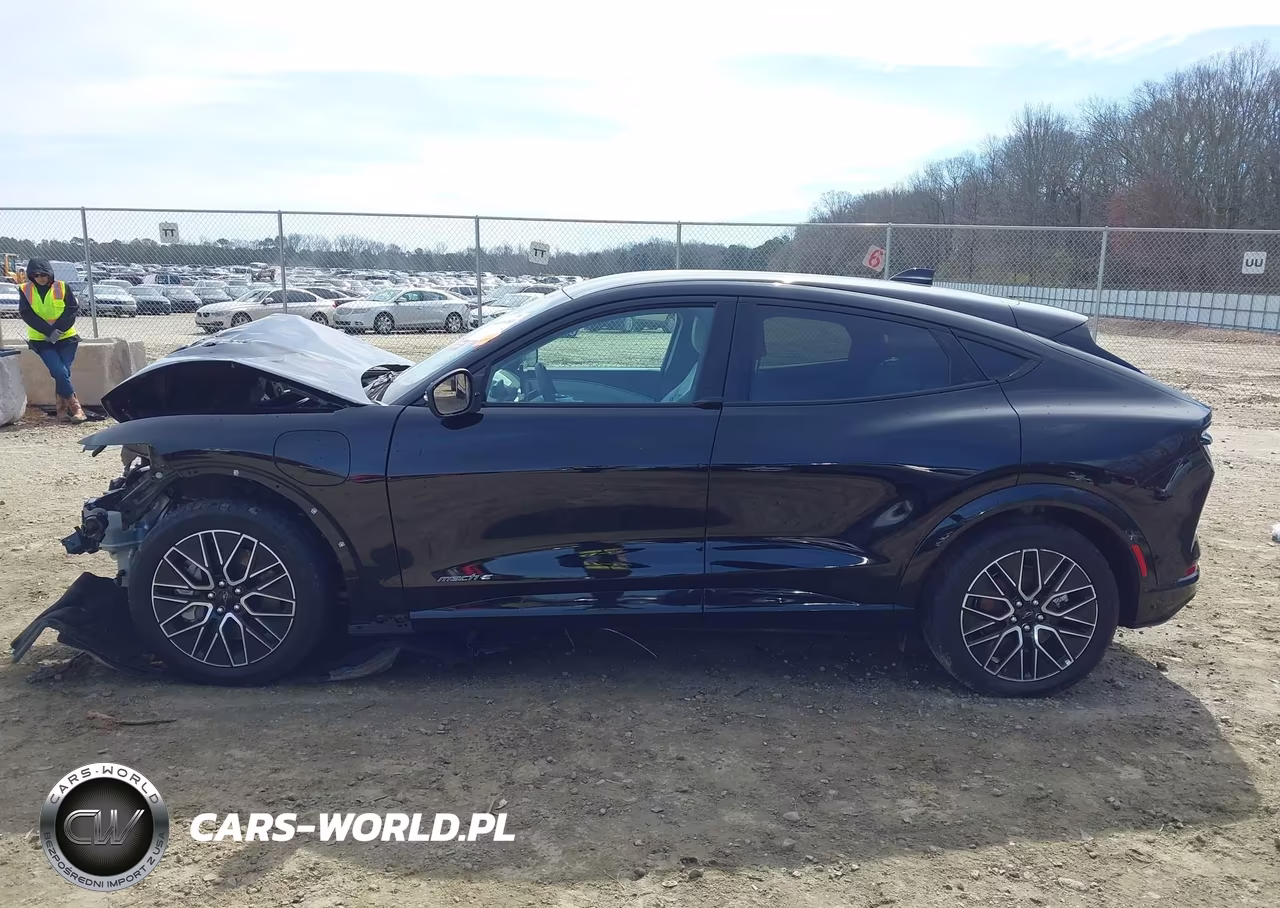 2024 Ford Mustang Mach-E Premium VIN:3FMTK3R43RMA43977 - 15