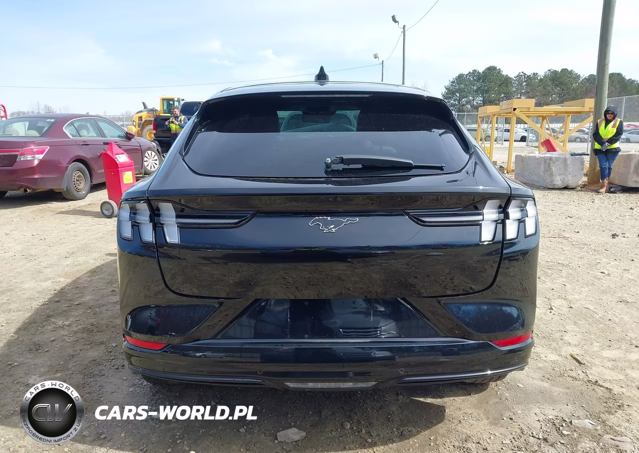 2024 Ford Mustang Mach-E Premium VIN:3FMTK3R43RMA43977 - 17