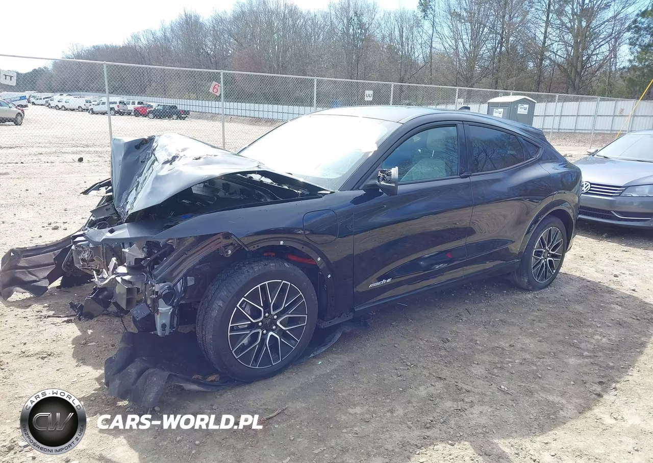 2024 Ford Mustang Mach-E Premium VIN:3FMTK3R43RMA43977 - 2