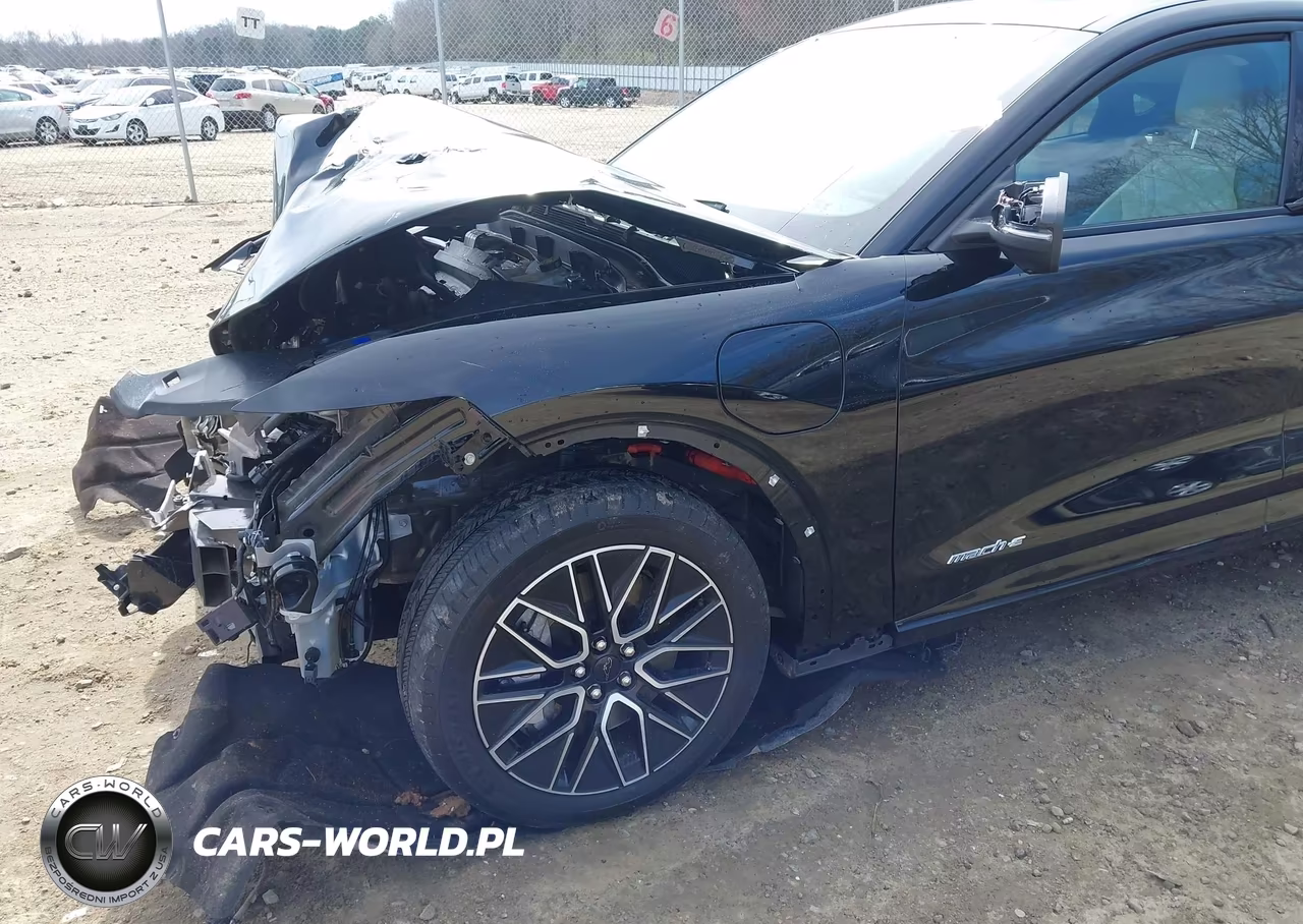2024 Ford Mustang Mach-E Premium VIN:3FMTK3R43RMA43977 - 22