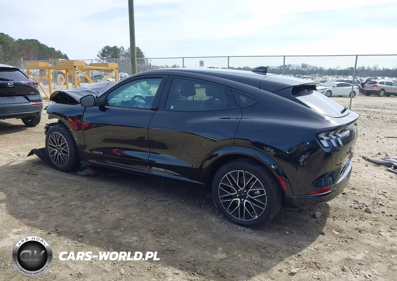 2024 Ford Mustang Mach-E Premium VIN:3FMTK3R43RMA43977 - 3