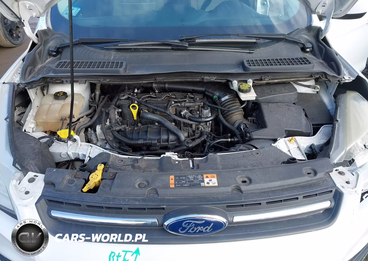 2015 Ford Escape Se VIN:1FMCU9GX5FUC28081 - 10