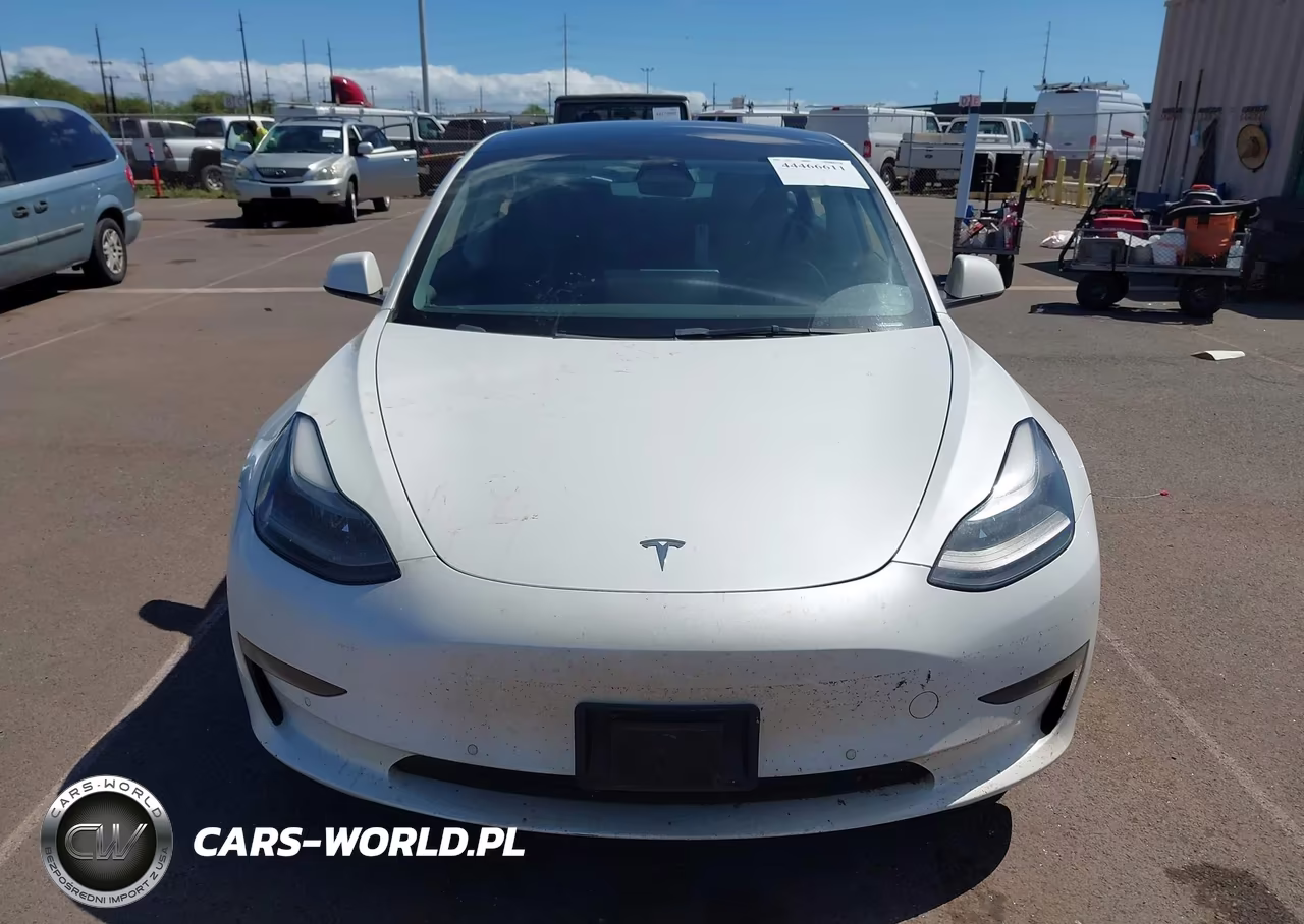 2022 Tesla Model 3 Rear-Wheel Drive VIN:5YJ3E1EA7NF318597 - 12