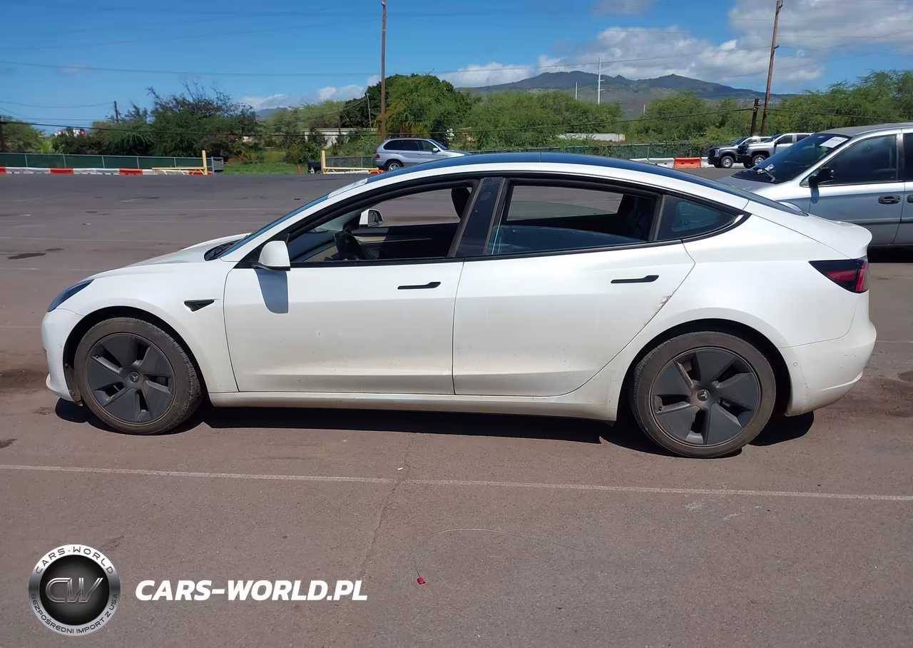 2022 Tesla Model 3 Rear-Wheel Drive VIN:5YJ3E1EA7NF318597 - 14