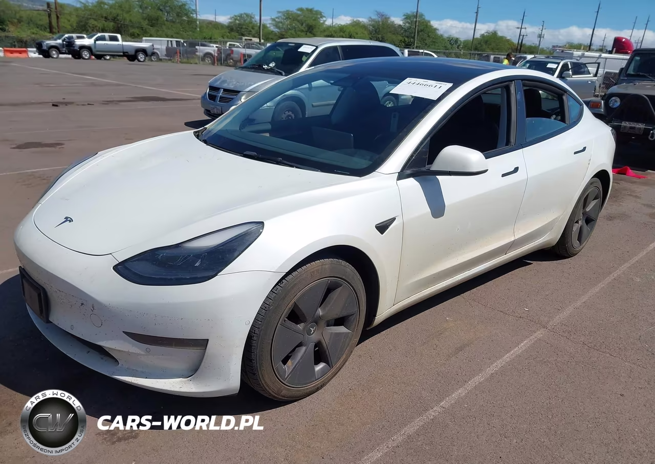 2022 Tesla Model 3 Rear-Wheel Drive VIN:5YJ3E1EA7NF318597 - 2