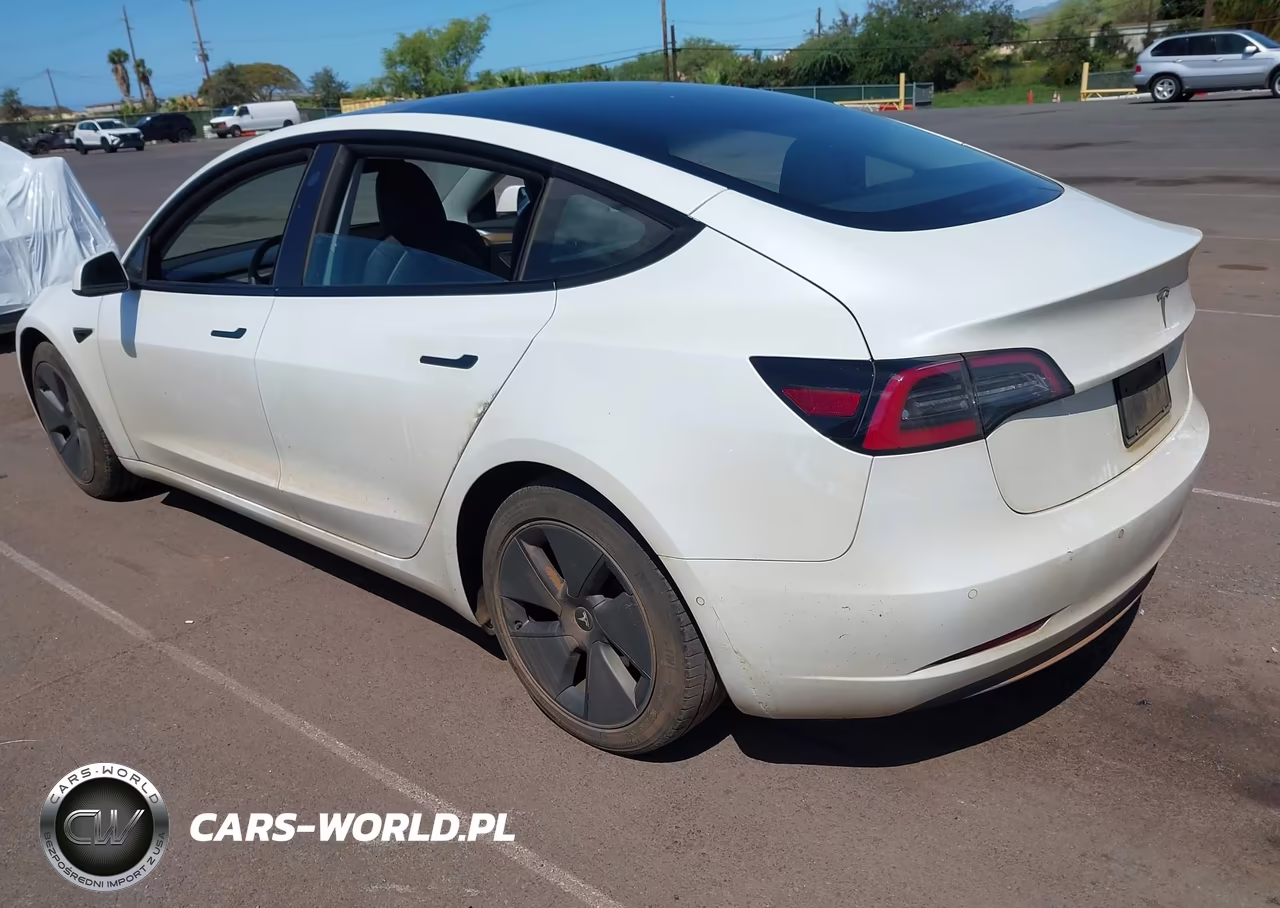 2022 Tesla Model 3 Rear-Wheel Drive VIN:5YJ3E1EA7NF318597 - 3
