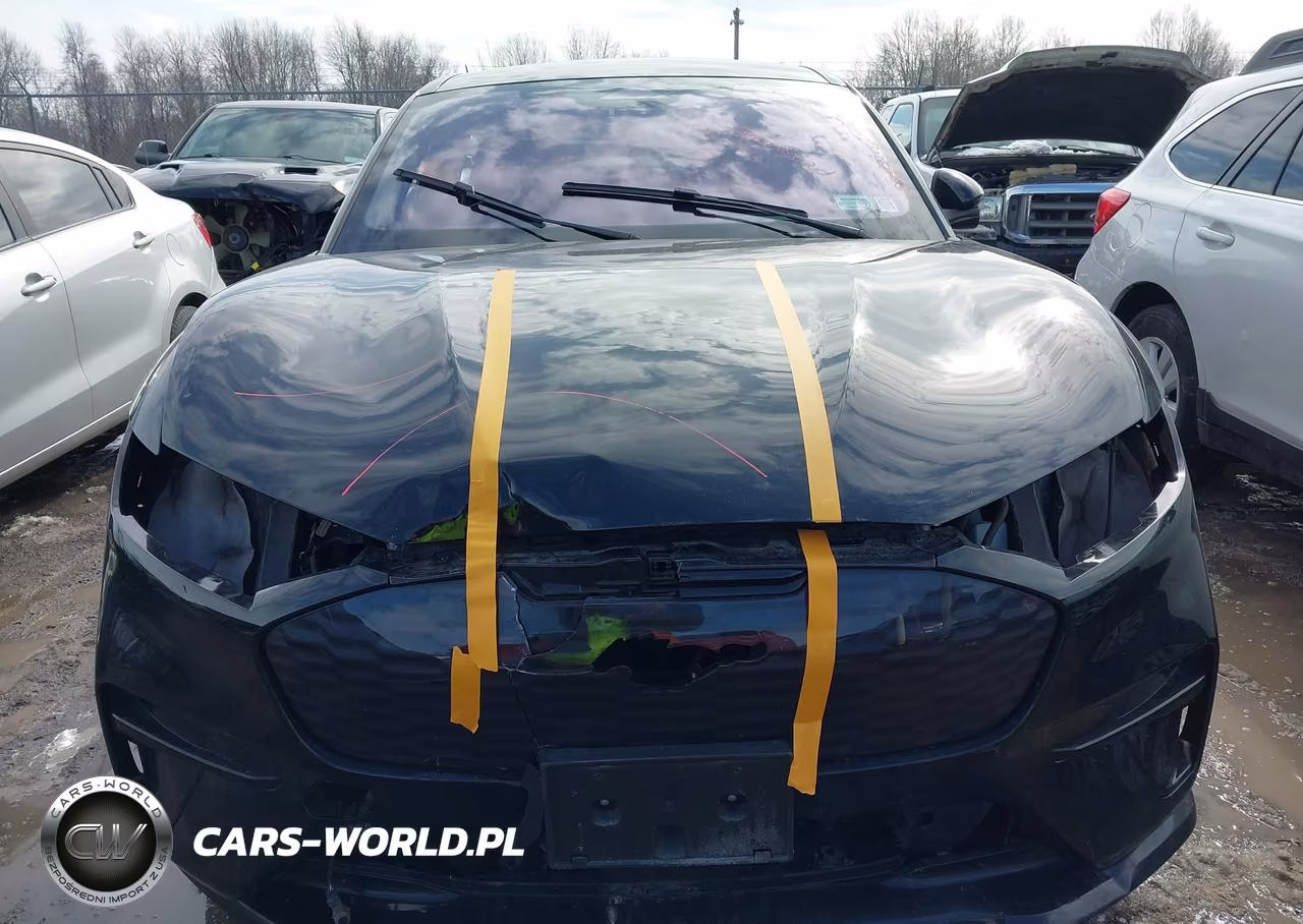 2022 Ford Mustang Mach-E Gt VIN:3FMTK4SX7NMA17323 - 13