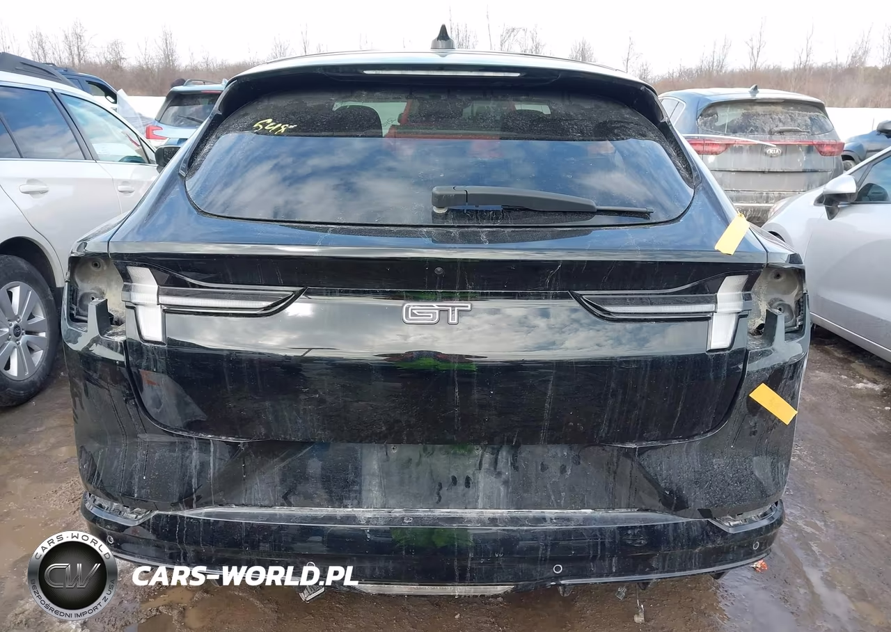 2022 Ford Mustang Mach-E Gt VIN:3FMTK4SX7NMA17323 - 17