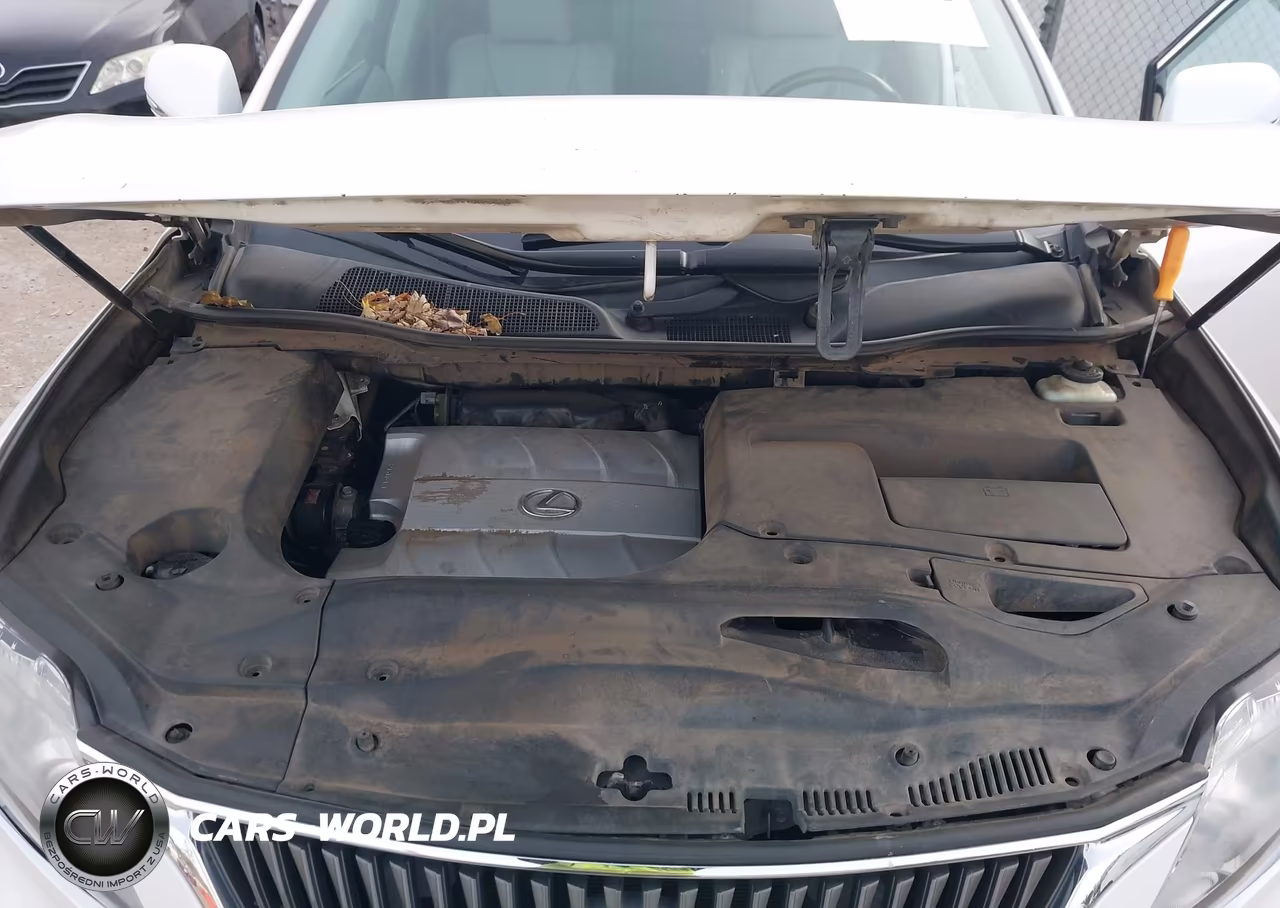 2010 Lexus Rx 350 VIN:2T2ZK1BA4AC029632 - 10
