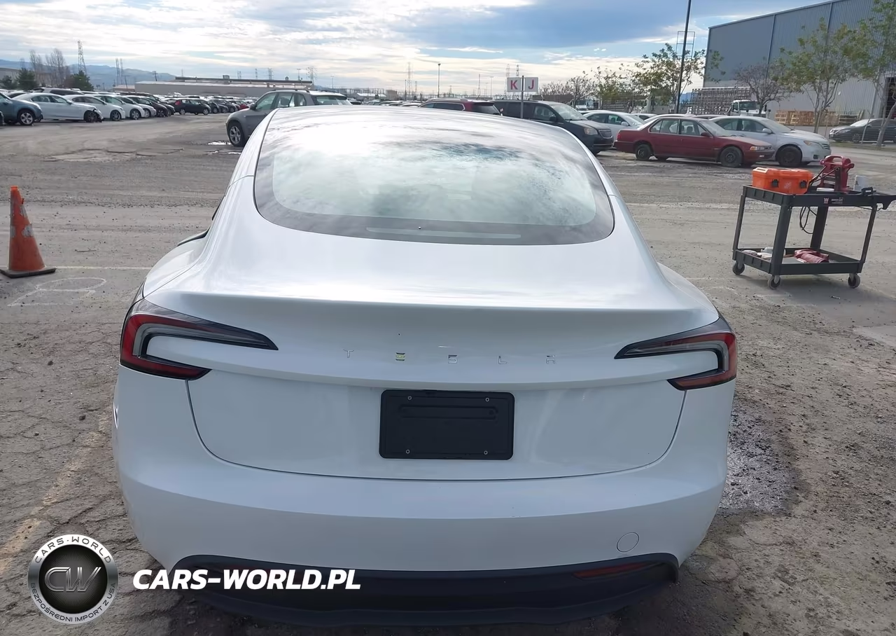 2025 Tesla Model 3 Long Range Rear-Wheel Drive-Standard Rear-Wheel Drive VIN:5YJ3E1EA5SF051102 - 16