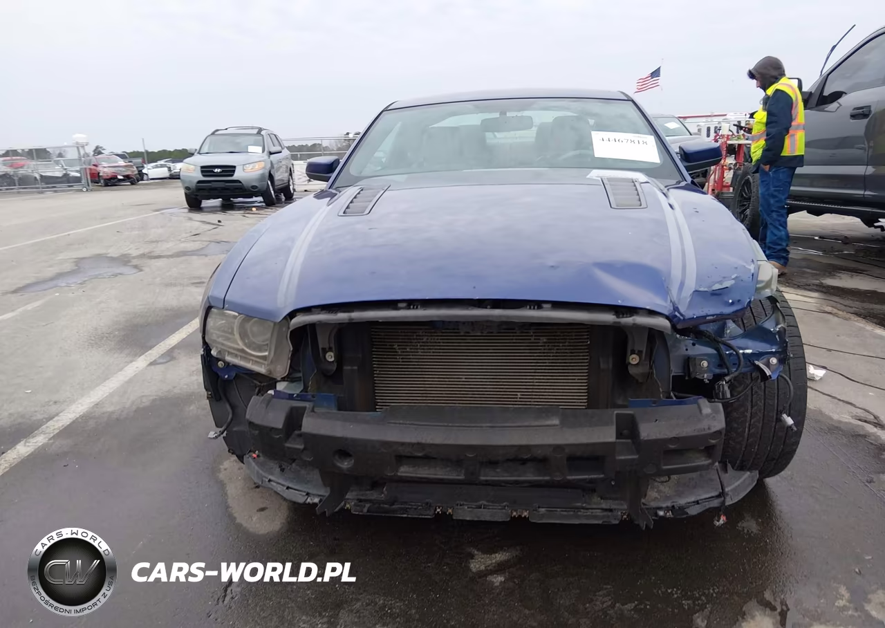 2014 Ford Mustang Gt Premium VIN:1ZVBP8CF2E5209301 - 13