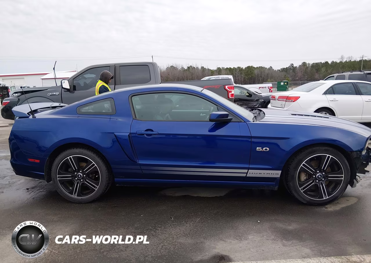 2014 Ford Mustang Gt Premium VIN:1ZVBP8CF2E5209301 - 14