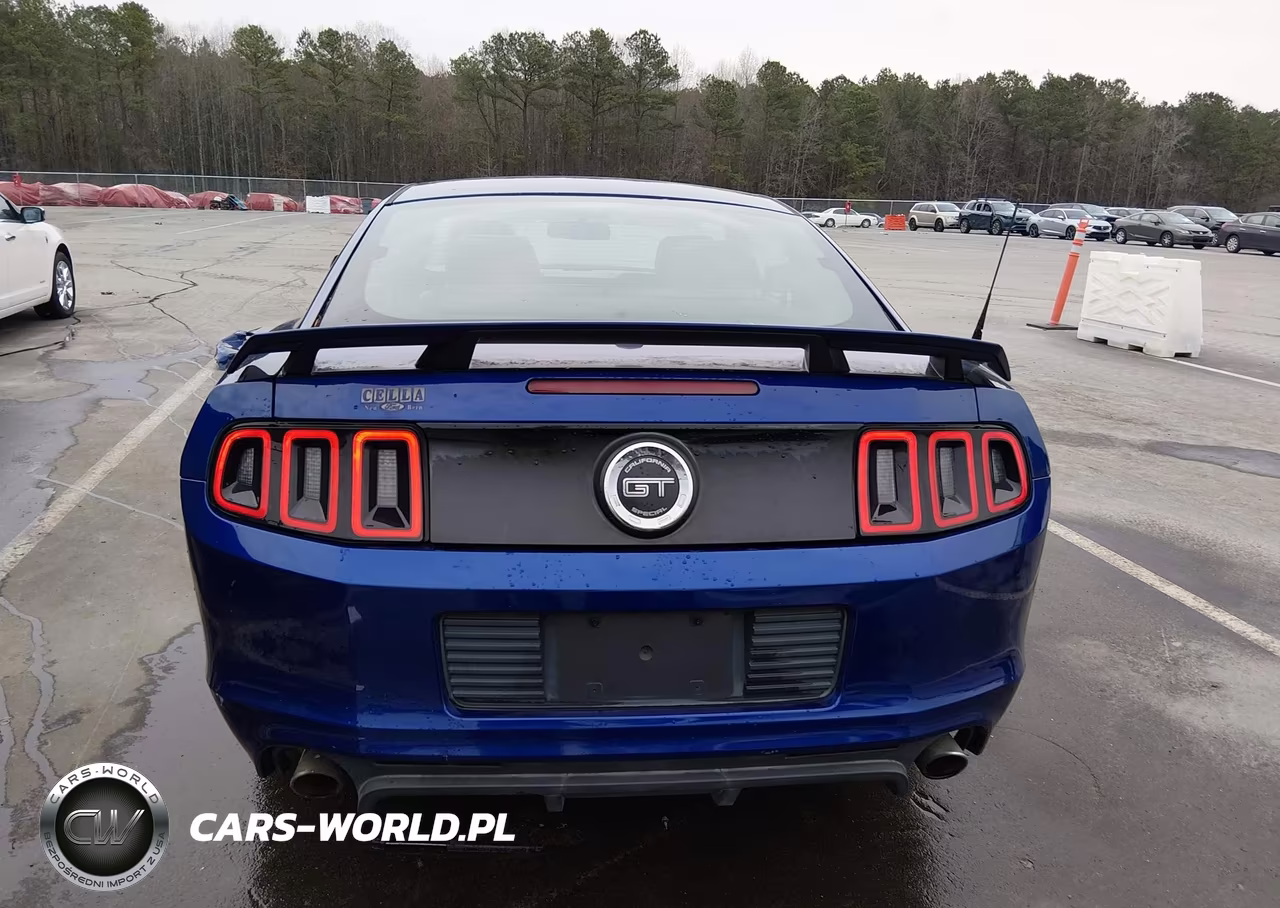2014 Ford Mustang Gt Premium VIN:1ZVBP8CF2E5209301 - 17
