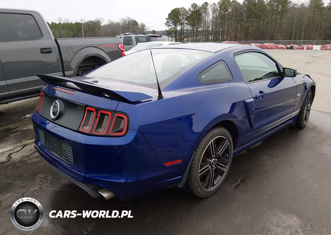 2014 Ford Mustang Gt Premium VIN:1ZVBP8CF2E5209301 - 4