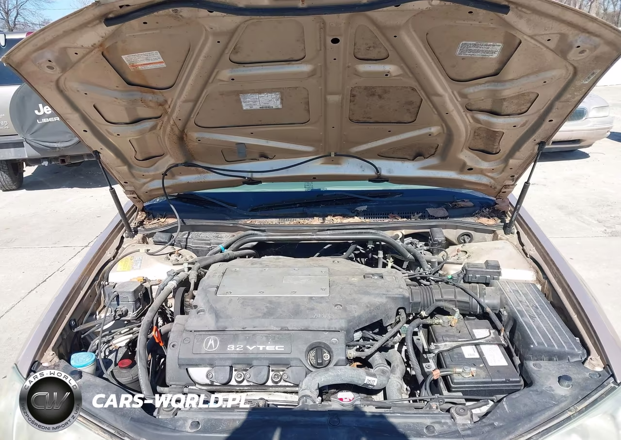 2002 Acura Tl 3.2 VIN:19UUA56642A056870 - 10