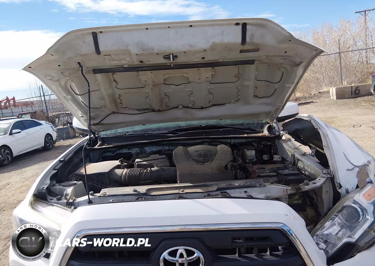 2017 Toyota Tacoma Sr5 V6 VIN:5TFSZ5AN9HX070539 - 10
