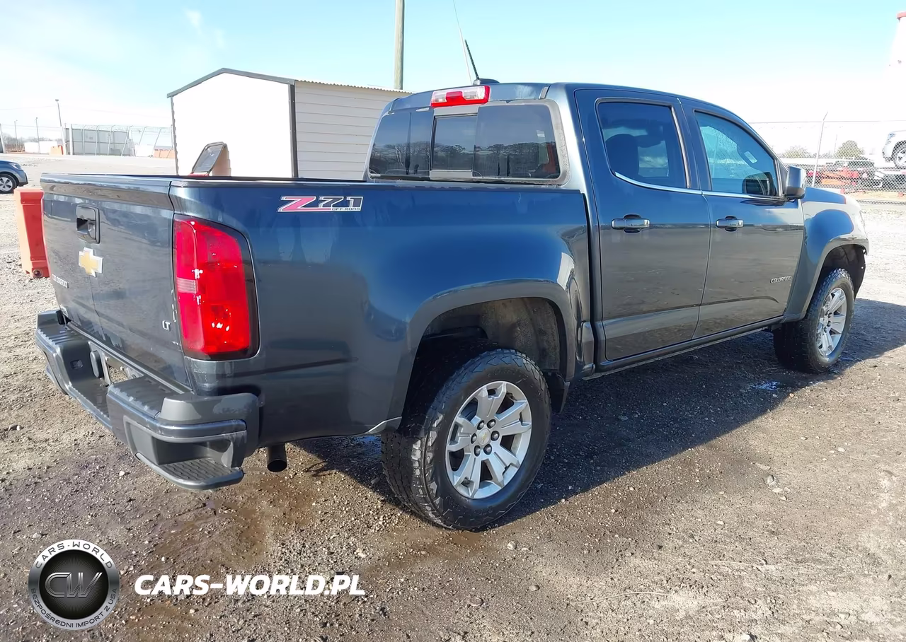 2019 Chevrolet Colorado Lt VIN:1GCGSCEAXK1184811 - 4