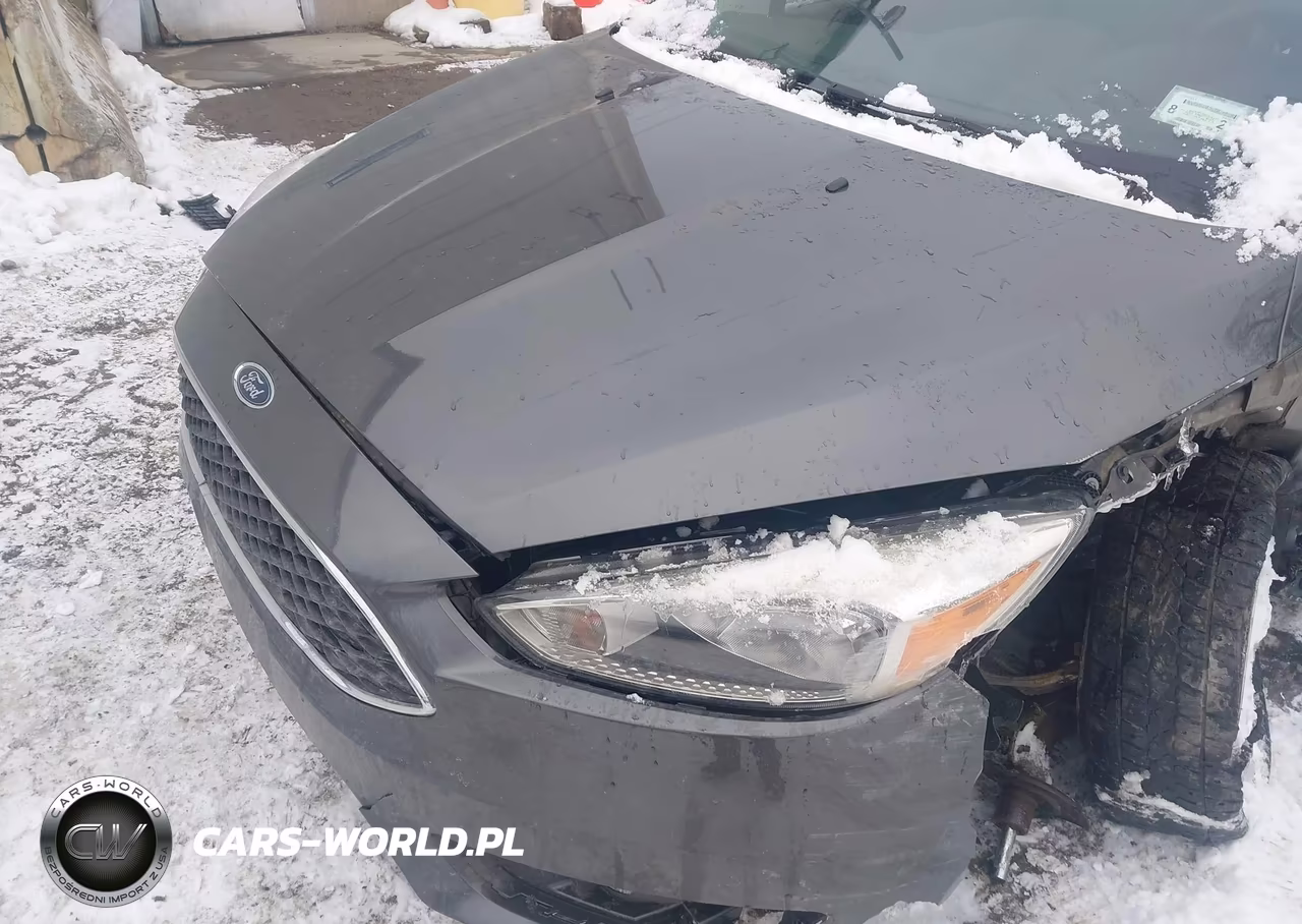 2017 Ford Focus Se VIN:1FADP3F22HL326423 - 17
