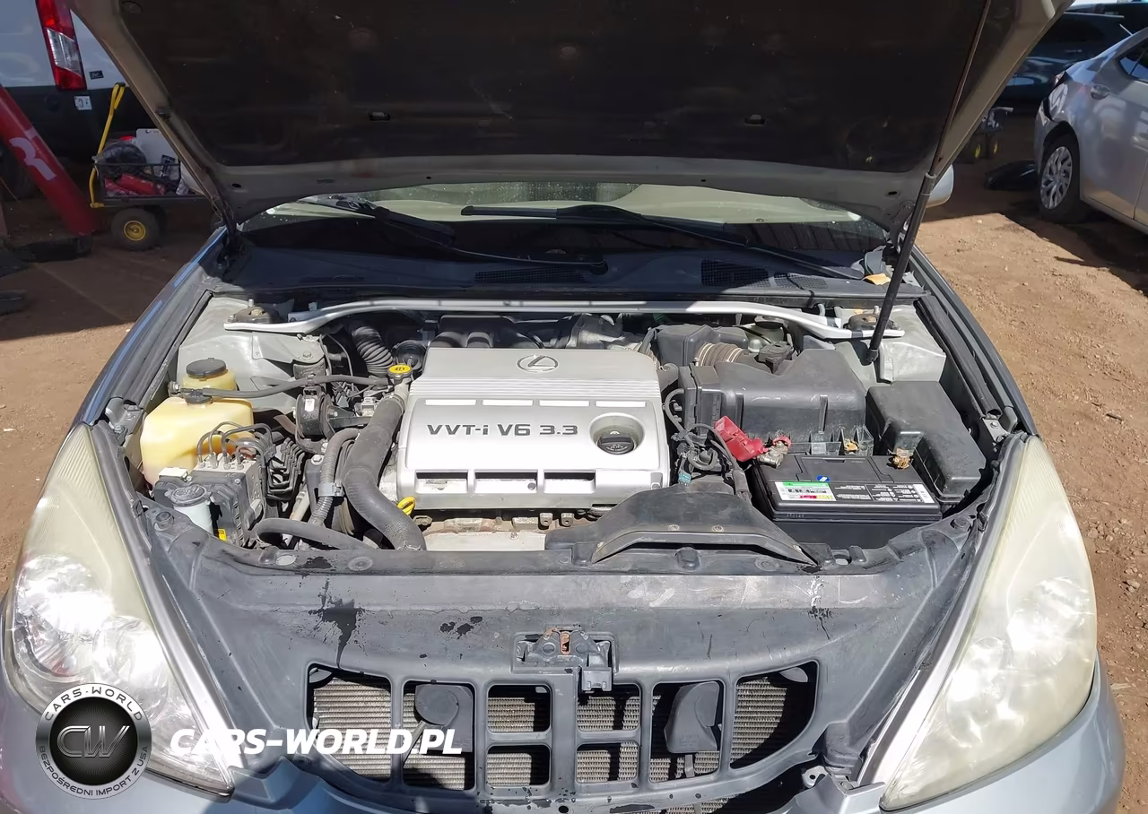 2004 Lexus Es 330 VIN:JTHBA30G645029367 - 10