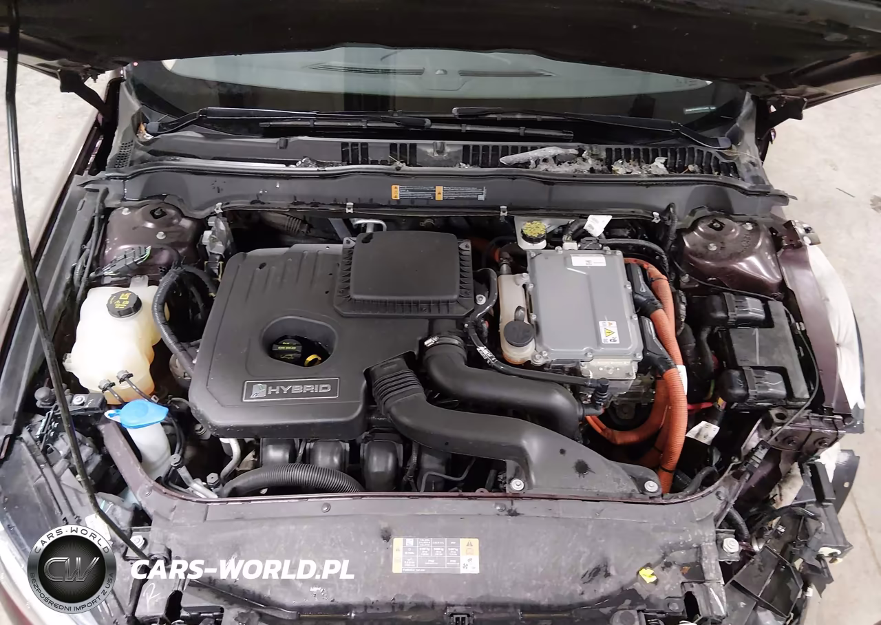 2013 Ford Fusion Hybrid Se VIN:3FA6P0LU9DR273356 - 10