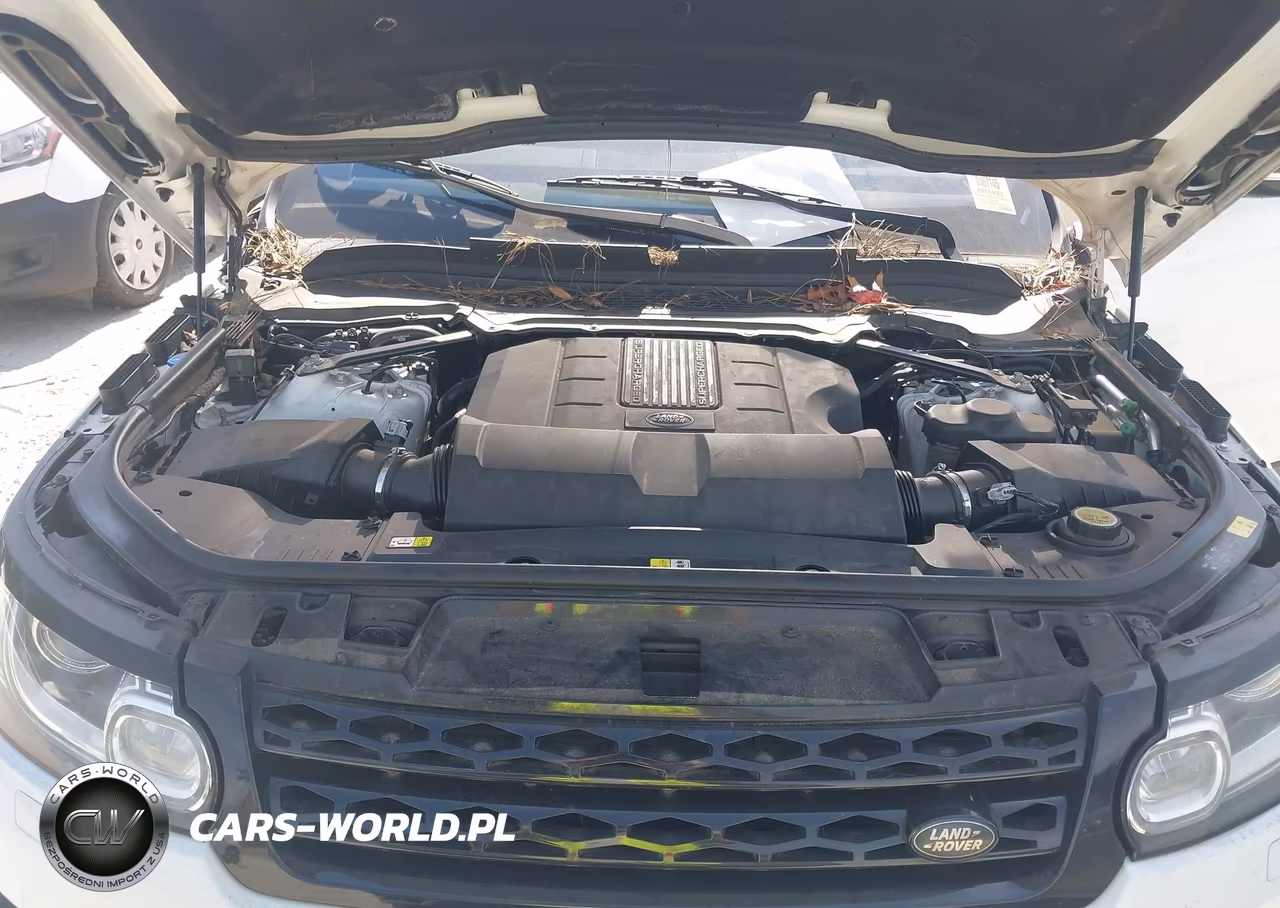 2016 Land Rover Range Rover Sport 5.0L V8 Supercharged-5.0L V8 Supercharged Dynamic VIN:SALWR2EF2GA598453 - 10