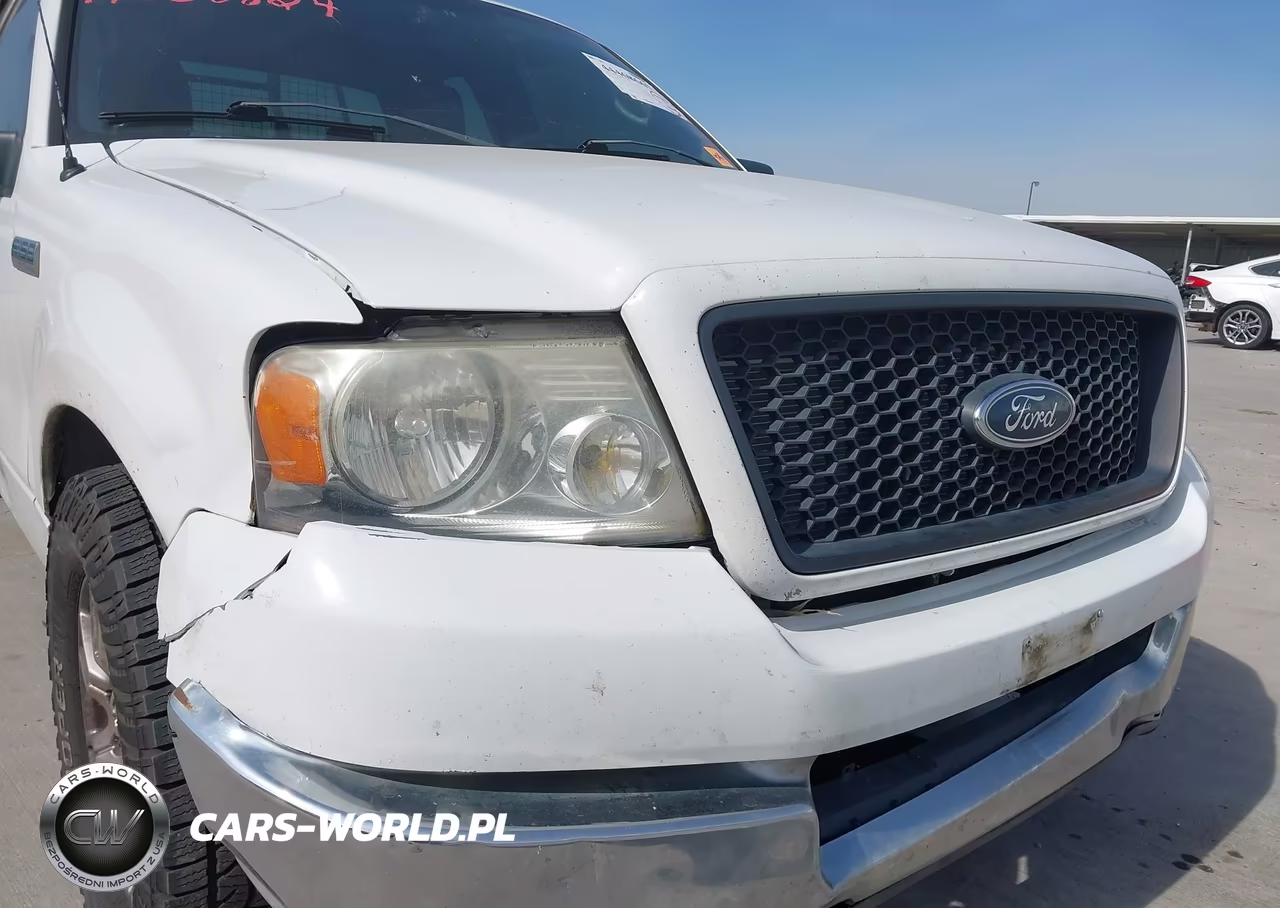 2004 Ford F-150 Lariat-Xl-Xlt VIN:1FTPX12594NA93196 - 18