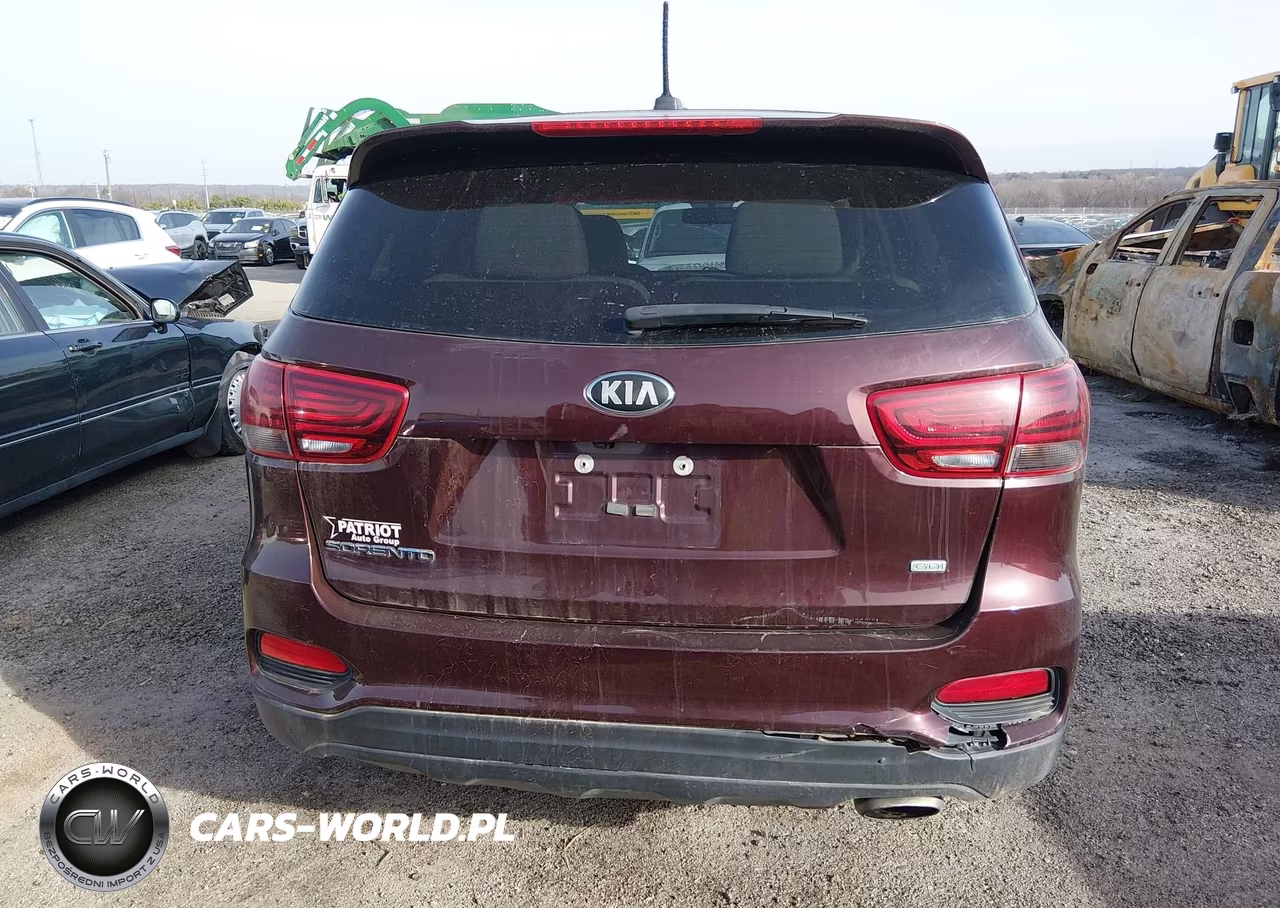 2019 Kia Sorento 2.4L Lx VIN:5XYPG4A30KG569776 - 17