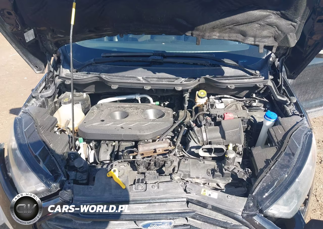 2020 Ford Ecosport Ses VIN:MAJ6S3JL8LC350192 - 10