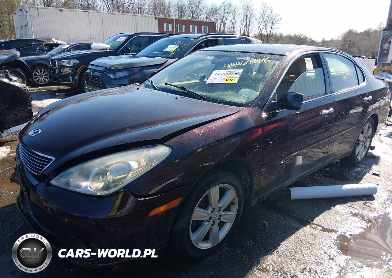 2005 Lexus Es 330 VIN:JTHBA30GX55064947 - 2