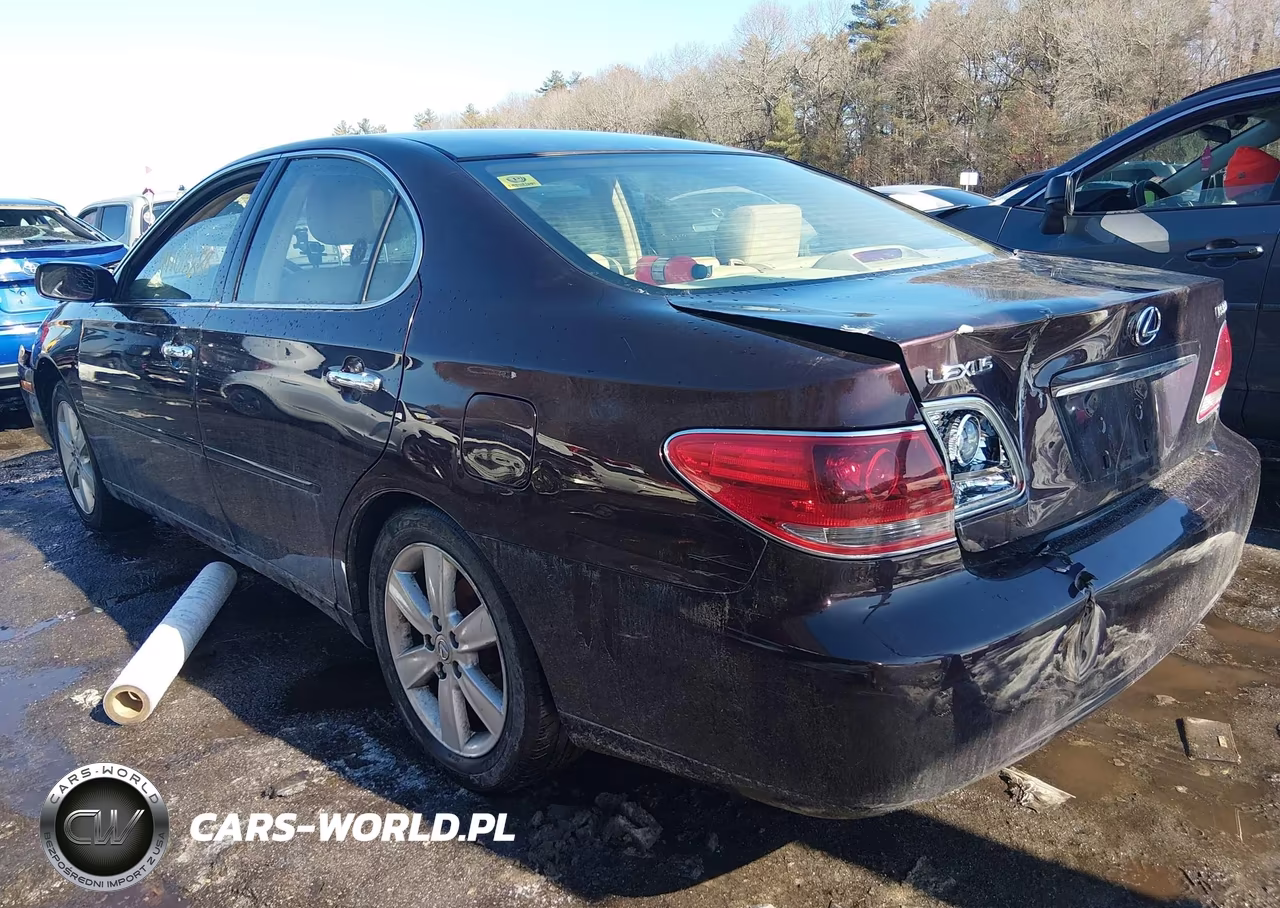 2005 Lexus Es 330 VIN:JTHBA30GX55064947 - 3