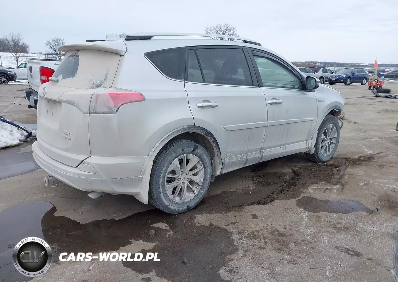 2016 Toyota Rav4 Hybrid Xle VIN:JTMRJREV1GD003229 - 4
