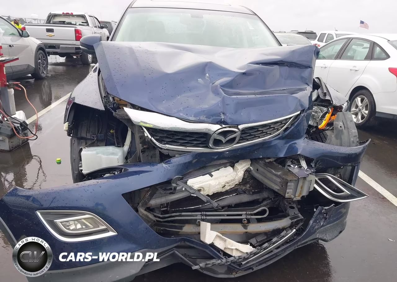 2010 Mazda Cx-9 Grand Touring VIN:JM3TB3MV7A0204138 - 6