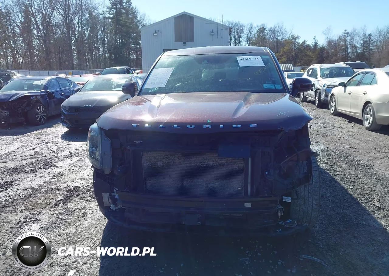 2020 Kia Telluride Lx VIN:5XYP2DHCXLG061059 - 12