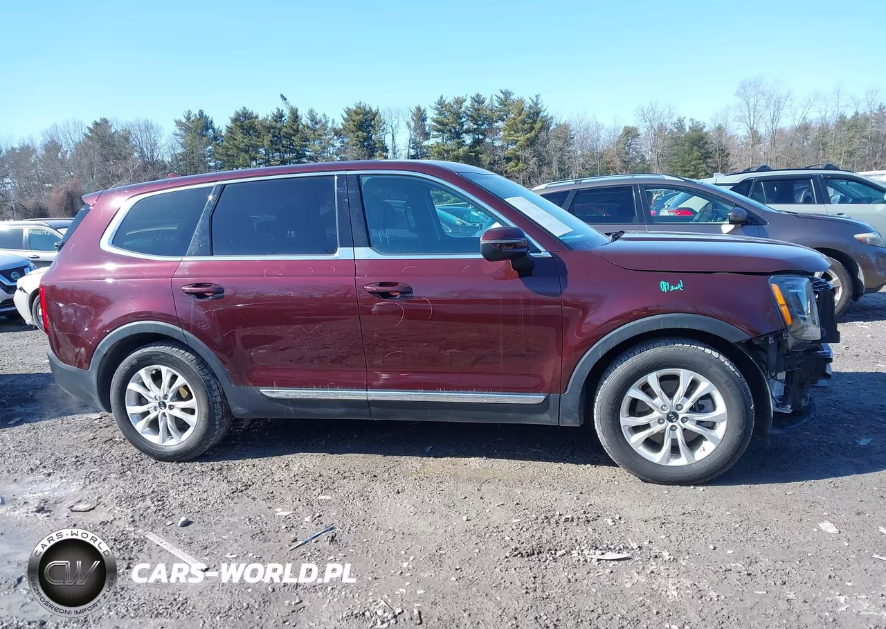 2020 Kia Telluride Lx VIN:5XYP2DHCXLG061059 - 13