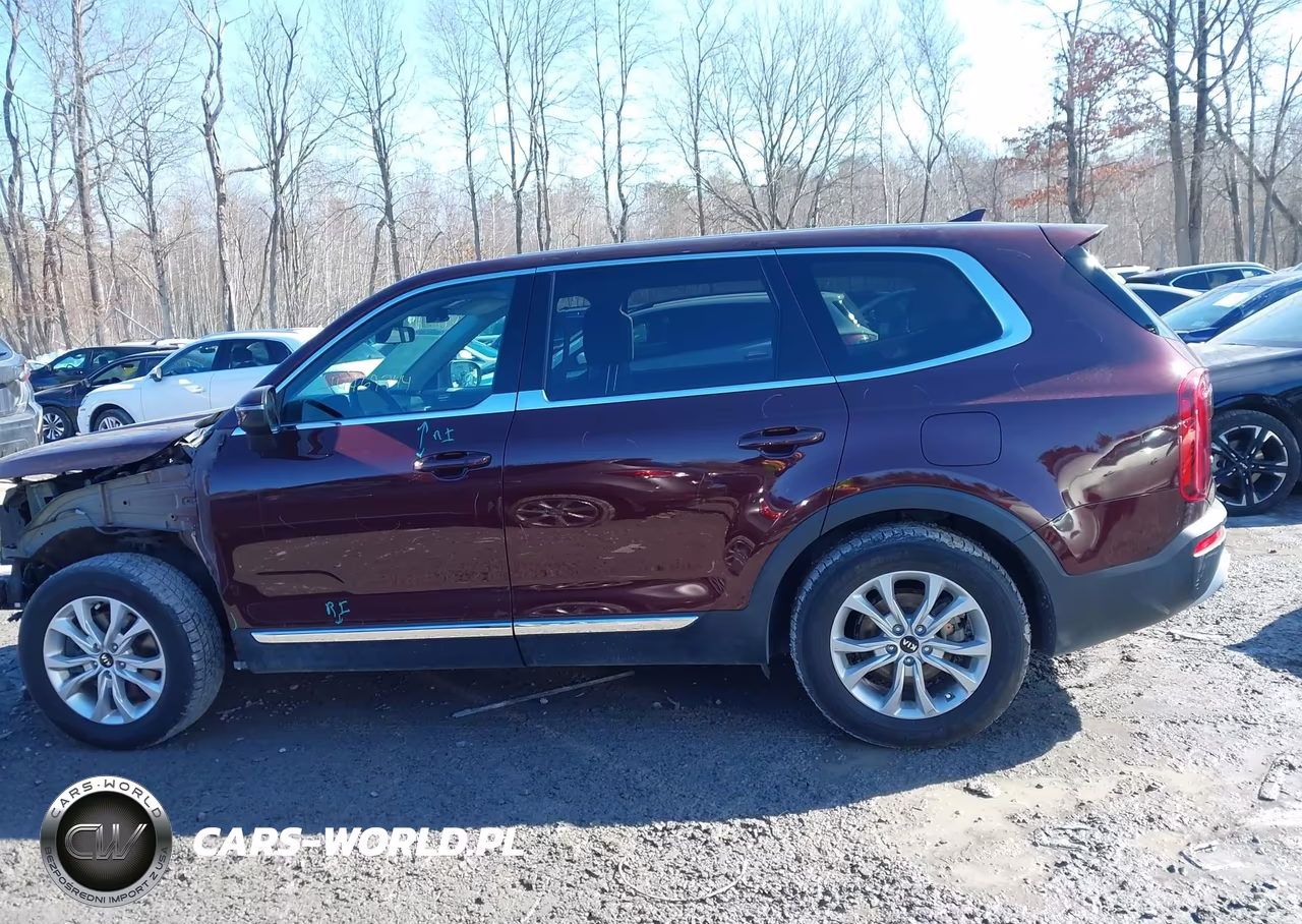 2020 Kia Telluride Lx VIN:5XYP2DHCXLG061059 - 14