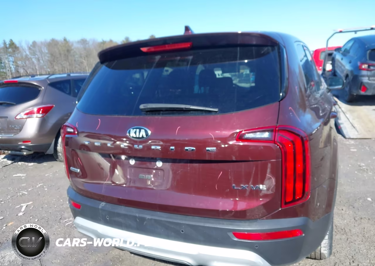 2020 Kia Telluride Lx VIN:5XYP2DHCXLG061059 - 16
