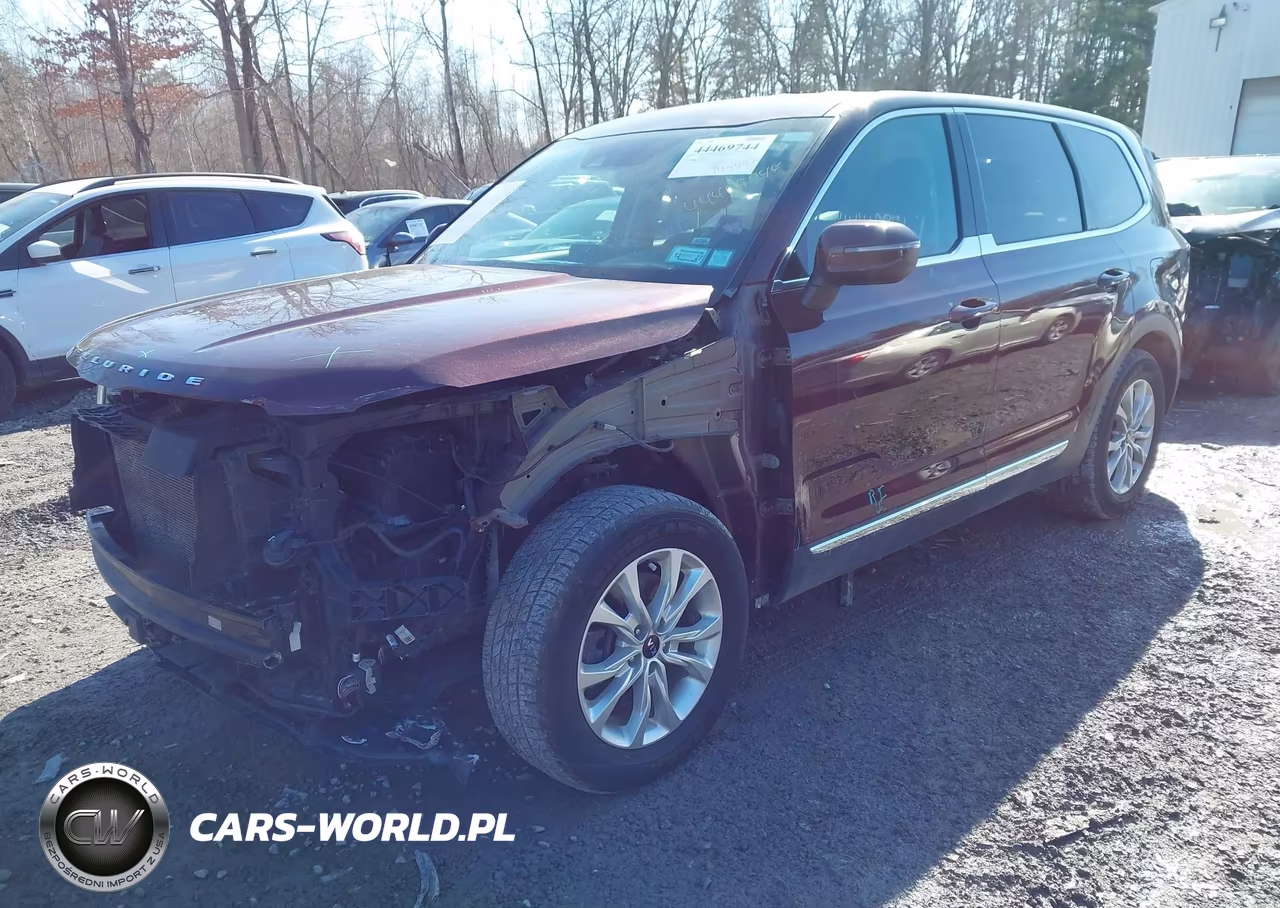 2020 Kia Telluride Lx VIN:5XYP2DHCXLG061059 - 2
