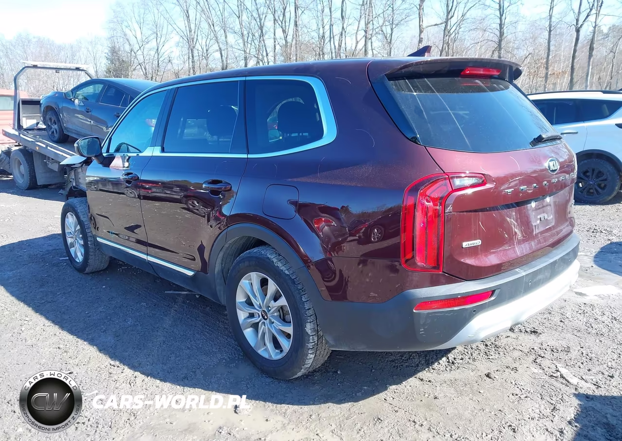 2020 Kia Telluride Lx VIN:5XYP2DHCXLG061059 - 3